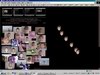 Tayler Mosaic